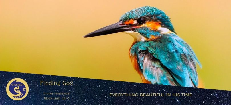 everything beautiful, relationship with God, no Bible, how did Abraham discover God, Pentateuch, Psalms, Isaiah, Jeremiah, gospels, epistles, Muslims, Christians, Jews,infinite all-powerful God, building faith, living, true God, infinite in being, perfection, most pure spirit, invisible, immutable, immense, eternal, most absolute, but one God, no god other than Him, compassionate and merciful, reflect with care, timelessness of God, creation of time, a time for everything, a time to plant, a time to kill, a time to heal, a time to tear down, human heart, be happy, do good