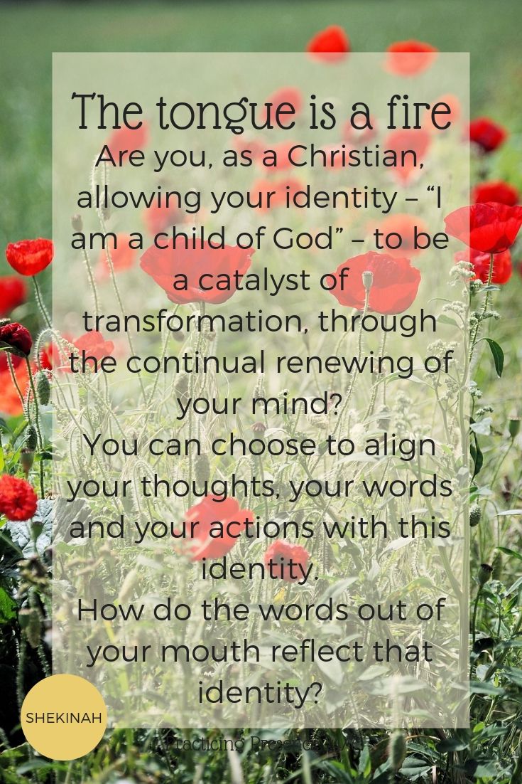 Are you, as a Christian, allowing your identity – “I am a child of God” – to be a catalyst of transformation, through the continual renewing of your mind? You can choose to align your thoughts, your words and your actions with this identity.  How do the words out of your mouth reflect that identity?