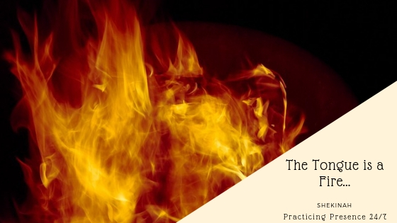 tongue is a fire, James, wisdom, Proverbs, bridle, horses, mouth, control, rudder, boat