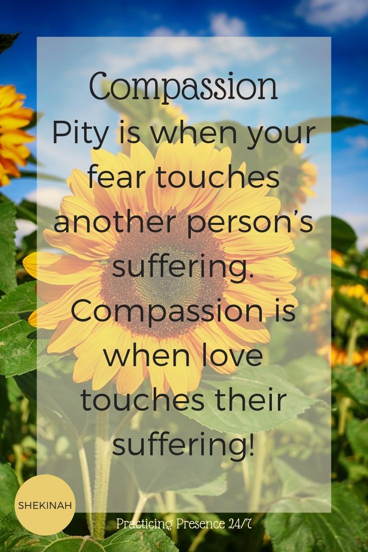 Pity is when your fear touches another person’s suffering. Compassion is when love touches their suffering!