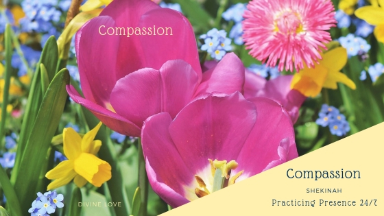 compassion, love, mercy, kindness, empathy, understanding , sensitive, charity, heart, generous, balanced, emotions, alignment, aligned, coherence, coherent, gratitude, coach, life coach, transformation, change, heart-centered