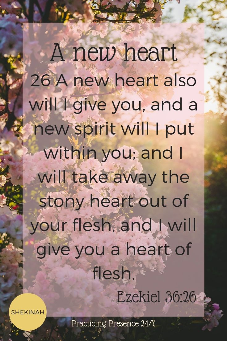A new heart also will I give you, and a new spirit will I put within you; and I will take away the stony heart out of your flesh, and I will give you a heart of flesh. Ezekiel 36:26
