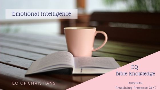 signs of emotional intelligence, characteristics of wisdom, fear of the Lord, practicing the presence, presence of the Divine, living in the flow of the infinite, the space between stimulus and response, self-motivated, emotionally resilient, emotional resilience, internalise failure, well-placed boundaries, healthy boundaries, toxic person, handling a difficult person, fuel the fire of disagreement, balanced assertiveness, tactful, present focused, avoid negative self-talk, self-awareness