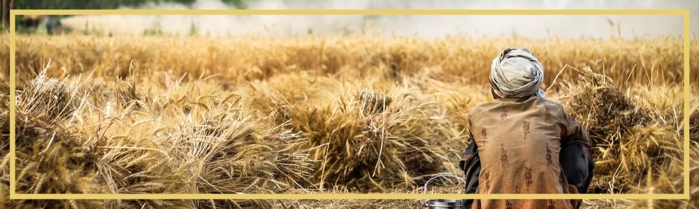 The Divine meets us where we are