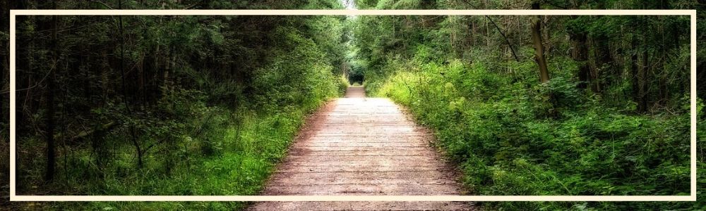 beginning a journey, humble, learn from life experiences, confidence, power of persuasion