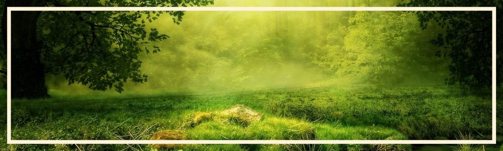 Be still and know that I am what I am