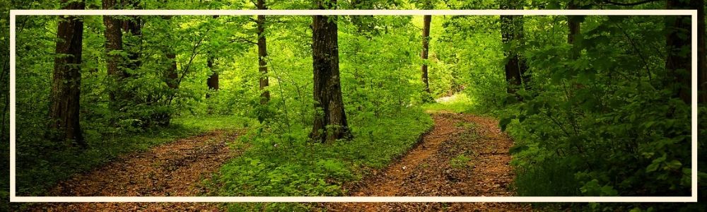 This is why I want to talk about adultery - double-mindedness - being of two minds! How do you live with a split focus?