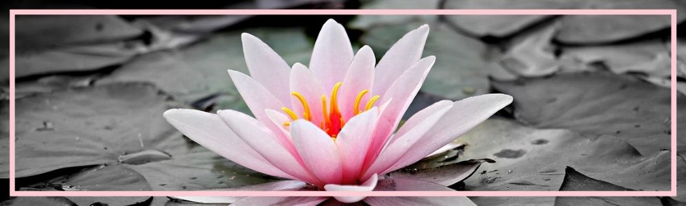 love is kind, compassion and kindness, compassionate and kind, kind and loving