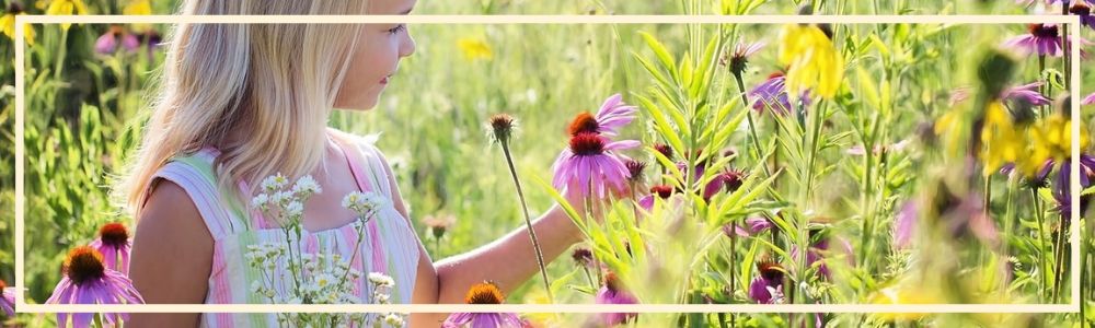 gratitude, appreciation, the power of gratitude, the benefits of being grateful