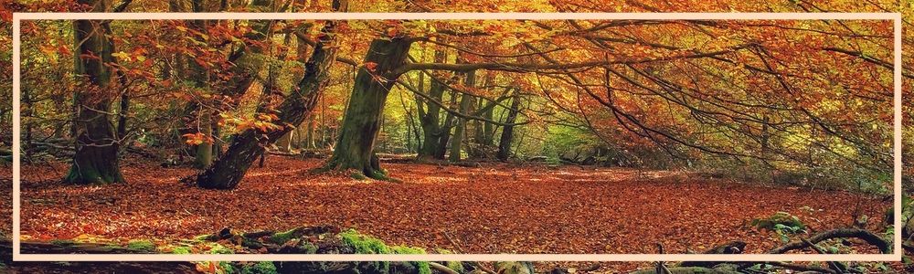 giving thanks when life treats you bad, overcoming life's challenges with gratitude, an attitude of gratitude