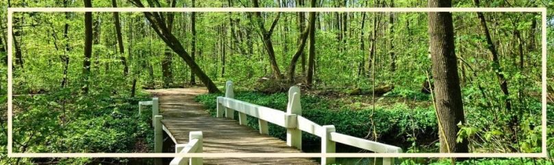 what do I treasure, the treasures of the heart, as a man thinks in his heart, priorities, core values, vision board, visionboard