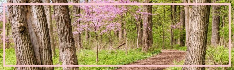 prayer, next step forward, finding the path