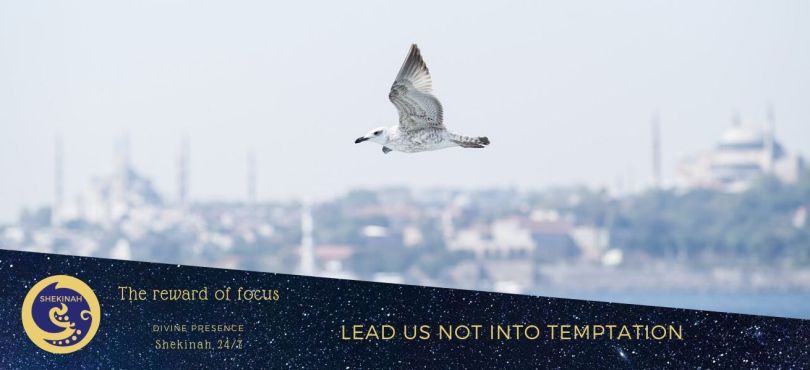 the reward of focus, lead us not into temptation, lead us not into temptation, desire, something wrong, unwise, enticement, pride, self-aggrandisement, distortion of purpose, getting off track, where your treasure is, invest your time, spend money, important priorities, core values, vision board, focus your attention, where attention goes energy flows, as you think, grounded and centred, keep your eye on the prize, learning and personal development