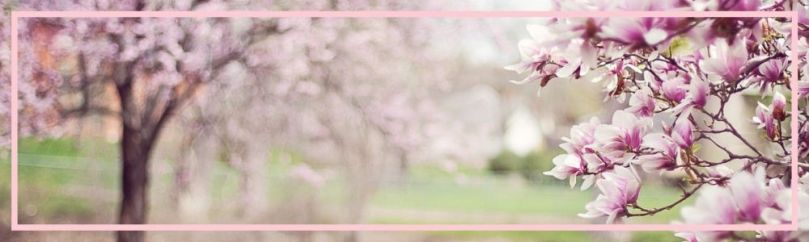 cherry trees, enriched, loved, divine love, loved by the divine, purpose in life