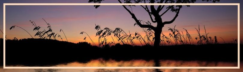 compassion for a day