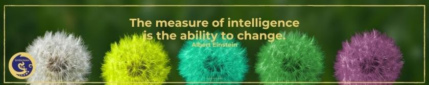 The measure of intelligence is the ability to change.